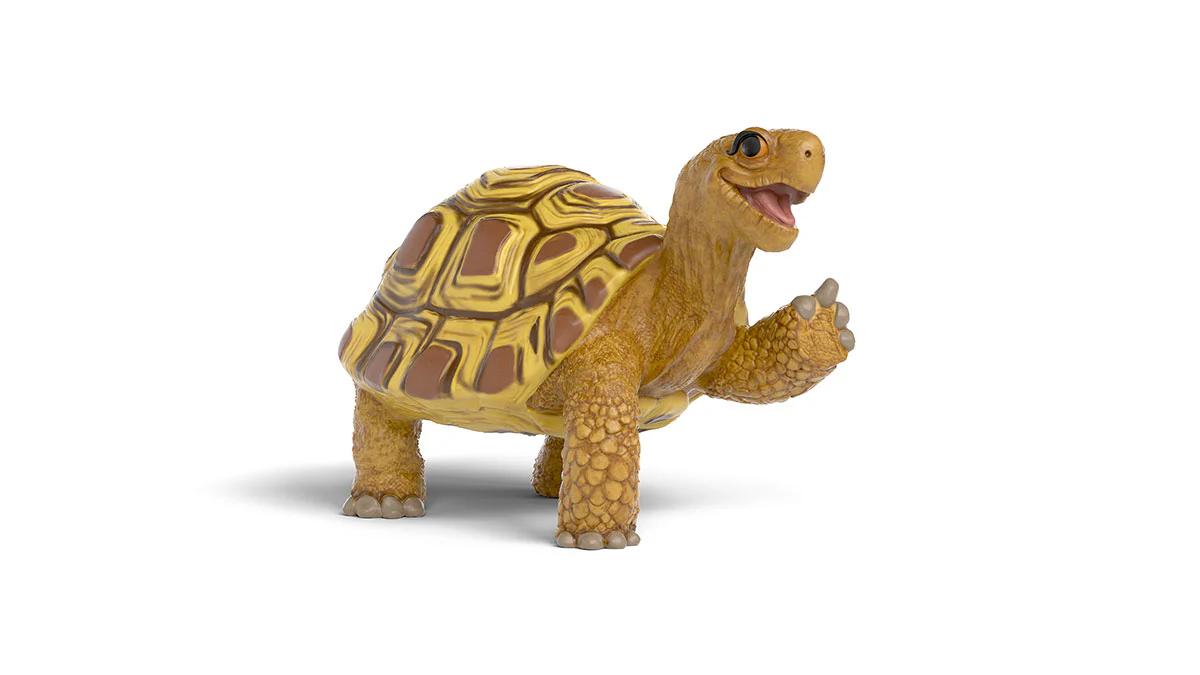 Schleich 14910 - Die Schule der magischen Tiere: Henrietta die Schildkröte