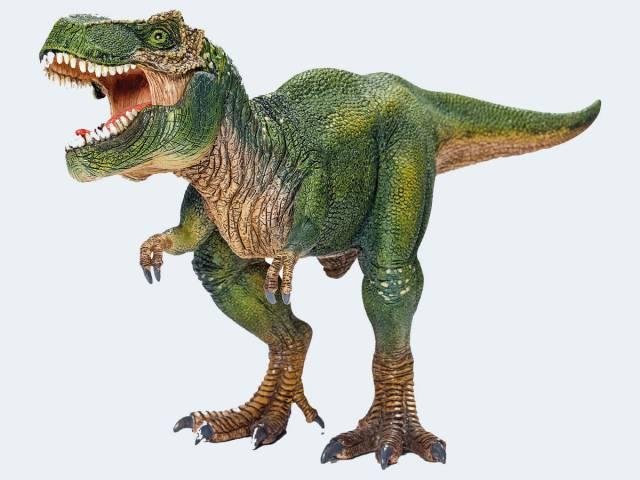 Schleich Dinosaurs 14525 - Tyrannosaurus Rex
