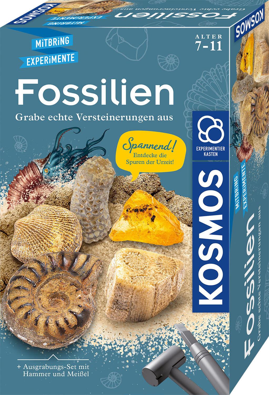 Mitbring-Experimente - Fossilien